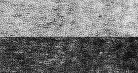 Нетканный материал (флизелин) клеевой точечный G-720t ФАСОВКА 25 г/кв.м ± 2 100 см х 50 см "Гамма" "Атекс" г. Пермь