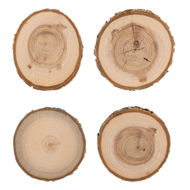 "Blumentag" СРЕЗ-01 срез дерева набор 9 см 4 шт. ± ±2 см м "Атекс" г. Пермь