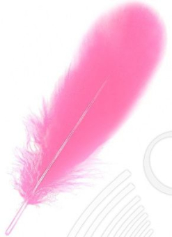 Перья декоративные 160-190 мм 5 шт "Атекс" г. Пермь