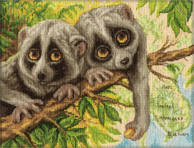 J-1790 ( Ж-1790 ) "Скромные лори" 24 x 18 см "Атекс" г. Пермь