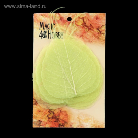 Скелетированный листочек "Магический" салатовый 10 шт "Атекс" г. Пермь