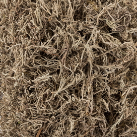 "Blumentag" BDS-50 Декоративный наполнитель "Мох снежный" 50 г ± 5 г "Атекс" г. Пермь