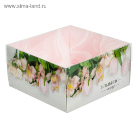 Коробка  с PVC-крышкой «Улыбнись миру» 12×6×11,5 см "Атекс" г. Пермь