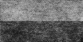 Нетканный материал (флизелин) клеевой точечный G-620t ФАСОВКА 25 г/кв.м ± 2 100 см х 100 см "Гамма" "Атекс" г. Пермь