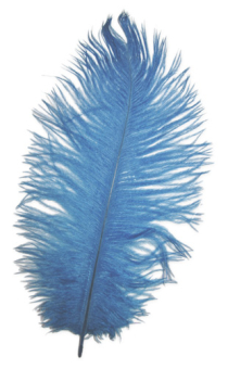 Перо страуса 20-25см "Атекс" г. Пермь