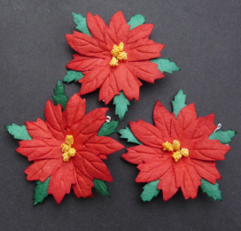  Пуансетия 65 мм 25 шт "Атекс" г. Пермь