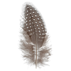 "Mr.Painter" PLU-08 "Перья декоративные" 3 гр шт. ± 0,5 гр 4-6 см "Атекс" г. Пермь