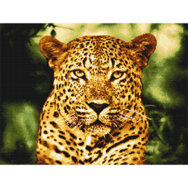 "ФРЕЯ" ALV-2 Кристальная мозаика (алмазная вышивка) 23 "Леопард" 53 х 40 см "Атекс" г. Пермь
