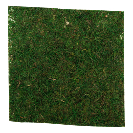 "Blumentag" BKM-20 Лист из натурального мха 20 см зеленый "Атекс" г. Пермь