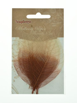 SCB300504 Скелетированные листочки из каучукового дерева, 2-цветный коричневый, упак./8 шт., ScrapBe "Атекс" г. Пермь