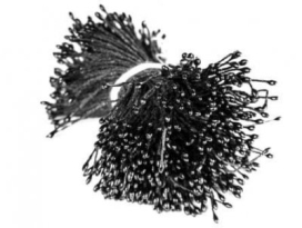 Тычинки "К" 2-сторон с головкой "свечка" d 1,5мм (360-400 нит) "Атекс" г. Пермь