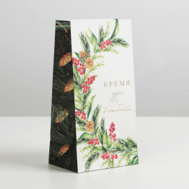 Пакет без ручек «Время волшебства» 10 × 19,5 × 7 см "Атекс" г. Пермь