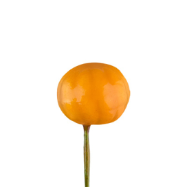 "Blumentag" VDF-06 Декоративные элементы 1.5 см 6 шт 01 тыква "Атекс" г. Пермь