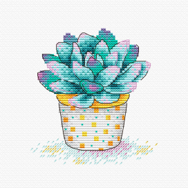 381 "Прелесть суккулента" 11 х 11 см "Атекс" г. Пермь