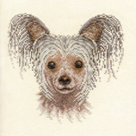 Ж-1130 "Китайская хохлатая" 20х20 см "Атекс" г. Пермь