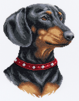 Набор для вышивания "PANNA" J-7469 "Такса" 19 х 24.5  см "Атекс" г. Пермь